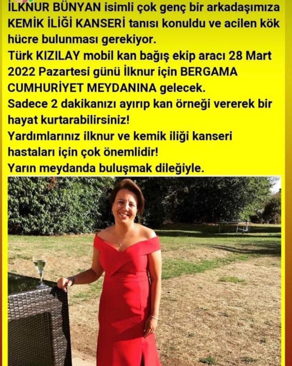 Ulaş Ok (@ulas_ok) on Twitter photo 