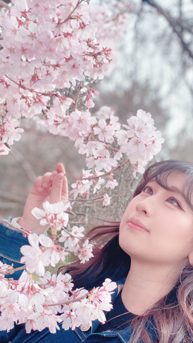 こんにちは🌸
お仕事お疲れ様です🥂
今日は京都府立植物園に初めて行ってきたよーっ💞💞
桜咲き始めやったけどめっちゃ綺麗やった🤤🤤
次はどこ行こかなぁって考えるのも楽しい🫶🏻

皆さんはどっか桜見に行く予定とかあるのーっ？💭
#レイスタ
#彩