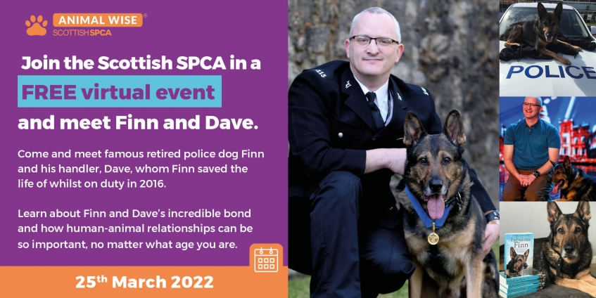 abernethyps's tweet photo. What a busy, sunny week p5 had last week! We enjoyed the Scottish Rugby Schools week and an SSPCA talk from Fabulous Finn #asone #SSPCA #pkclearning https://t.co/1QwtBlZ24p