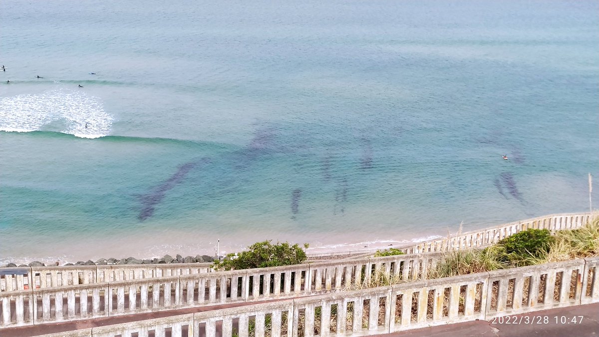 piconlemovice's tweet image. Depuis #biarritz ce matin, l'eau claire de la #cotedesbasques