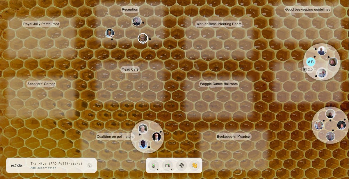 #UseCaseMonday - Networking Session 🐝

We are extremely honored to tell you that Wonder Space has been used for a networking session on pollinators by the Food and Agriculture Organization (<a href="/FAO/">Food and Agriculture Organization</a> ) of the United Nations.

Leave energized 💫

wonder.me
