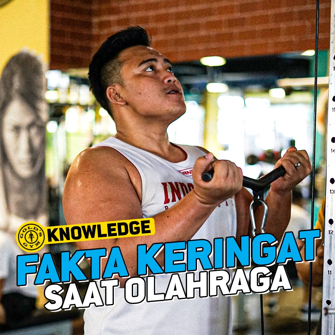 Gold’s, bagi kalian yang sering berolahraga dan mengeluarkan banyak keringat, gausah khawatir ya…
Sebenarnya keringat yang kita hasilkan merupakan bentuk respon untuk mengatur suhu tubuh. Jadi, tubuh kita bisa meminimalisir panas dan menjaga suhu tubuh tetap stabil #goldsgymid