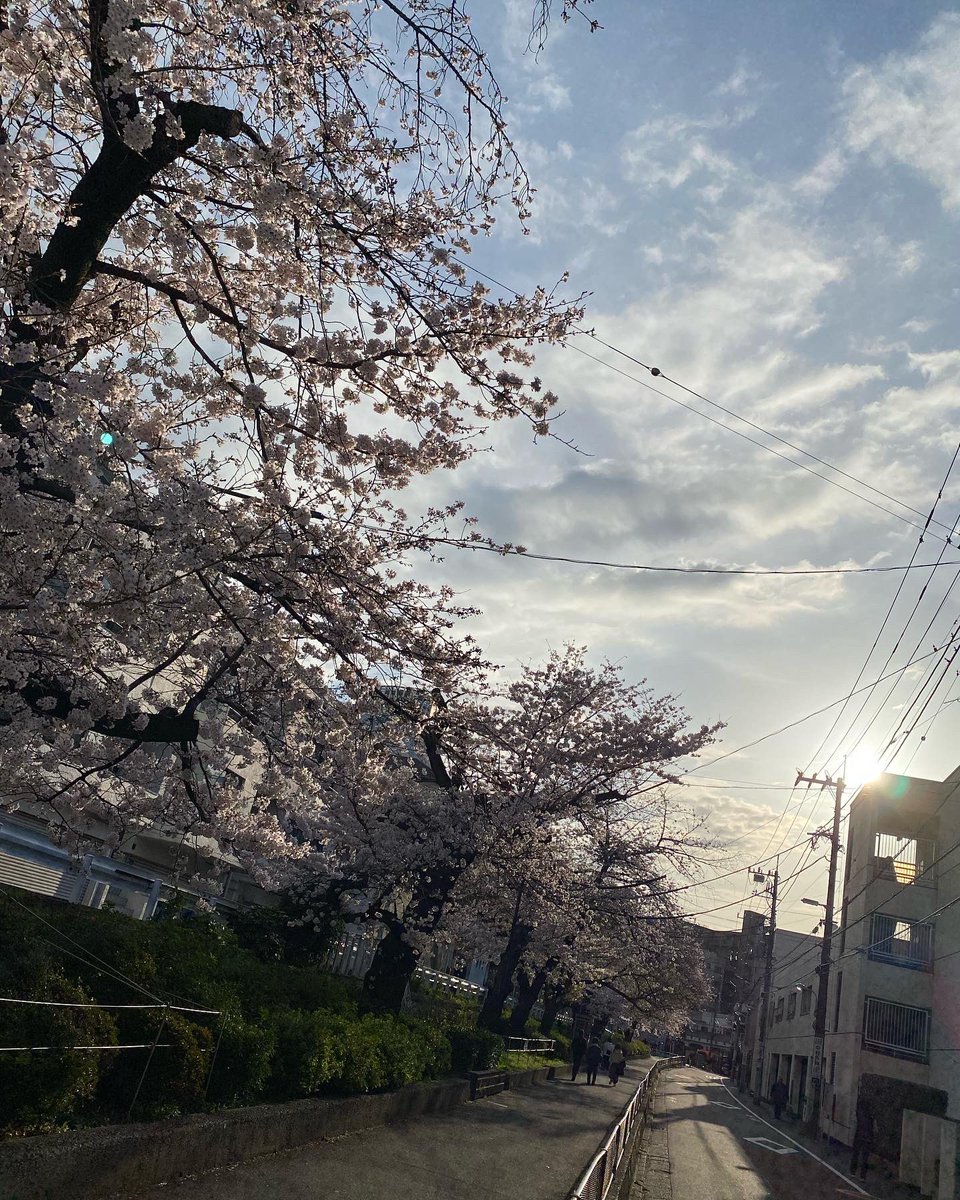 blue515Y's tweet photo. 春が来た今朝の風景
#springcome https://t.co/2T2tOmRO02