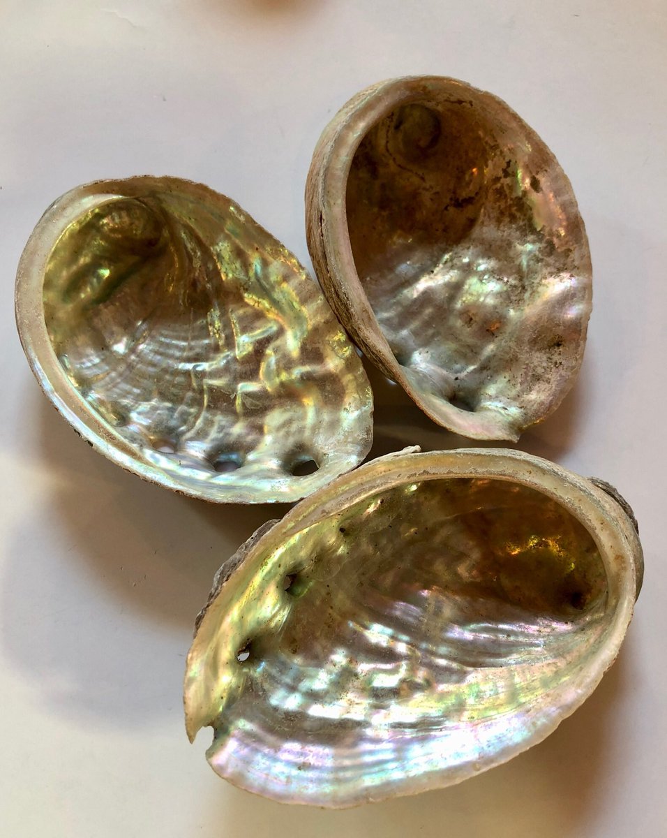 TheMysticMoon's tweet photo. We’ve had some gorgeous items come into the shop these last few weeks. https://t.co/aWZWoqAgoT https://t.co/bi1oRs8yTq