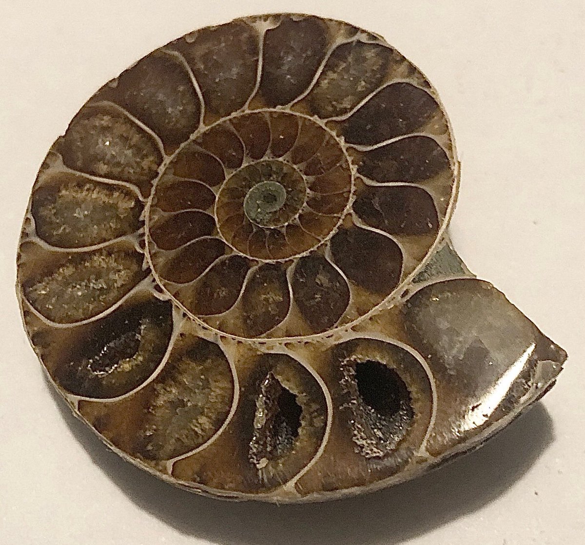 TheMysticMoon's tweet photo. We’ve had some gorgeous items come into the shop these last few weeks. https://t.co/aWZWoqAgoT https://t.co/bi1oRs8yTq