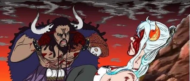 Kaido will is a meme anime coin