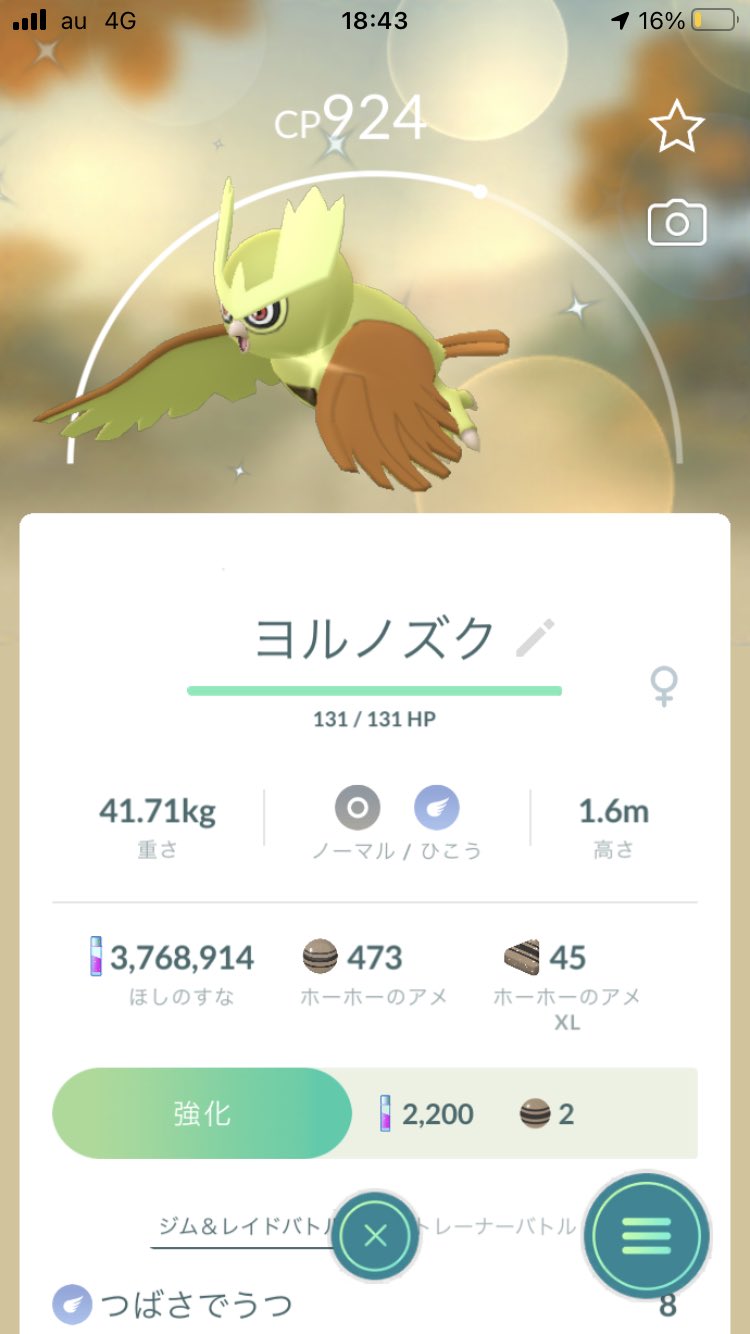 Kippy ポケモンgo やっと出たぜ 色違いのホーホー サトシのヨルノズク T Co W8cwtjuhh8 Twitter