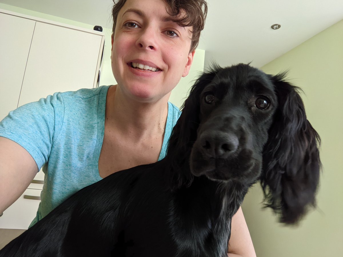 ClaireAgutter's tweet photo. @RachelMcelroySR @MMG9898 Always lovely to welcome a new #dogsofITSM 😍 Luna says Hi! How will we get anything done? https://t.co/MVCcl57Bjg
