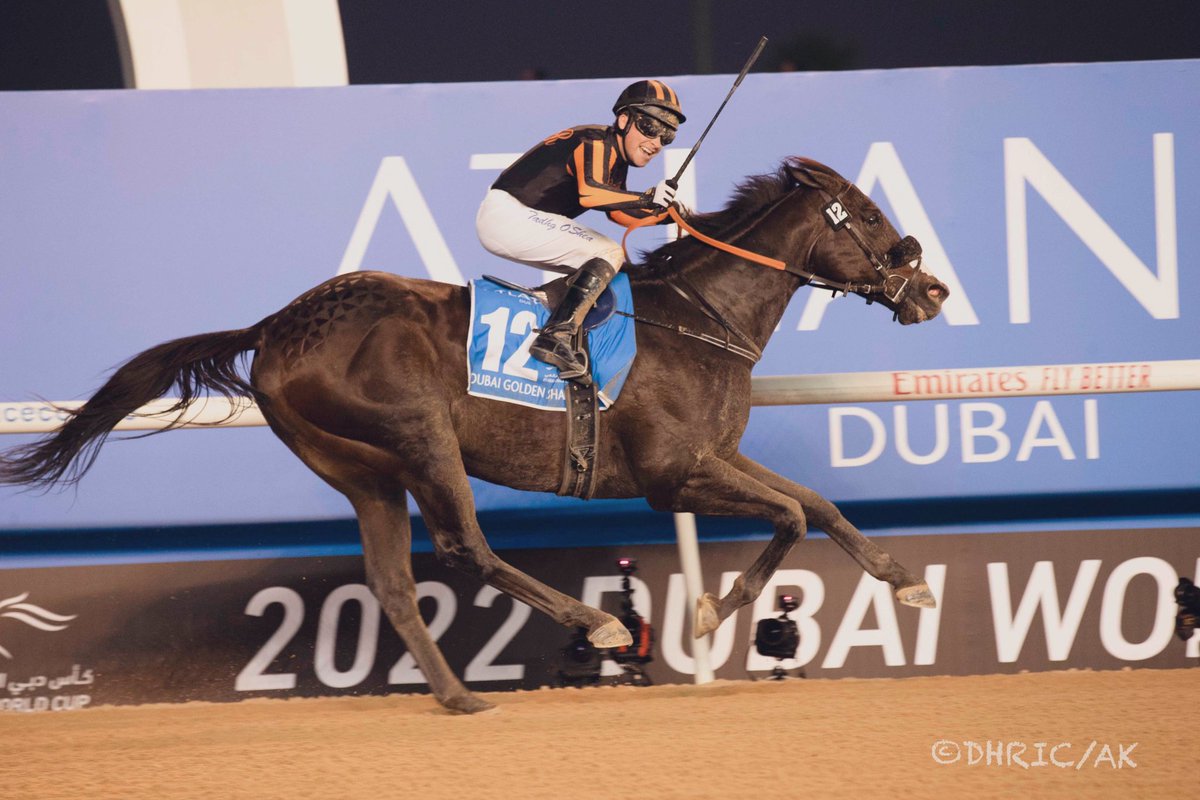 DubaiRacingTV's tweet photo. Man of the moment @OsheaTadhg will be joining us on the final episode of #TheWinningLine, which moves back to Wednesday this week.
Donβt miss it at 6pm UAE time. https://t.co/XzhrjkAScH
