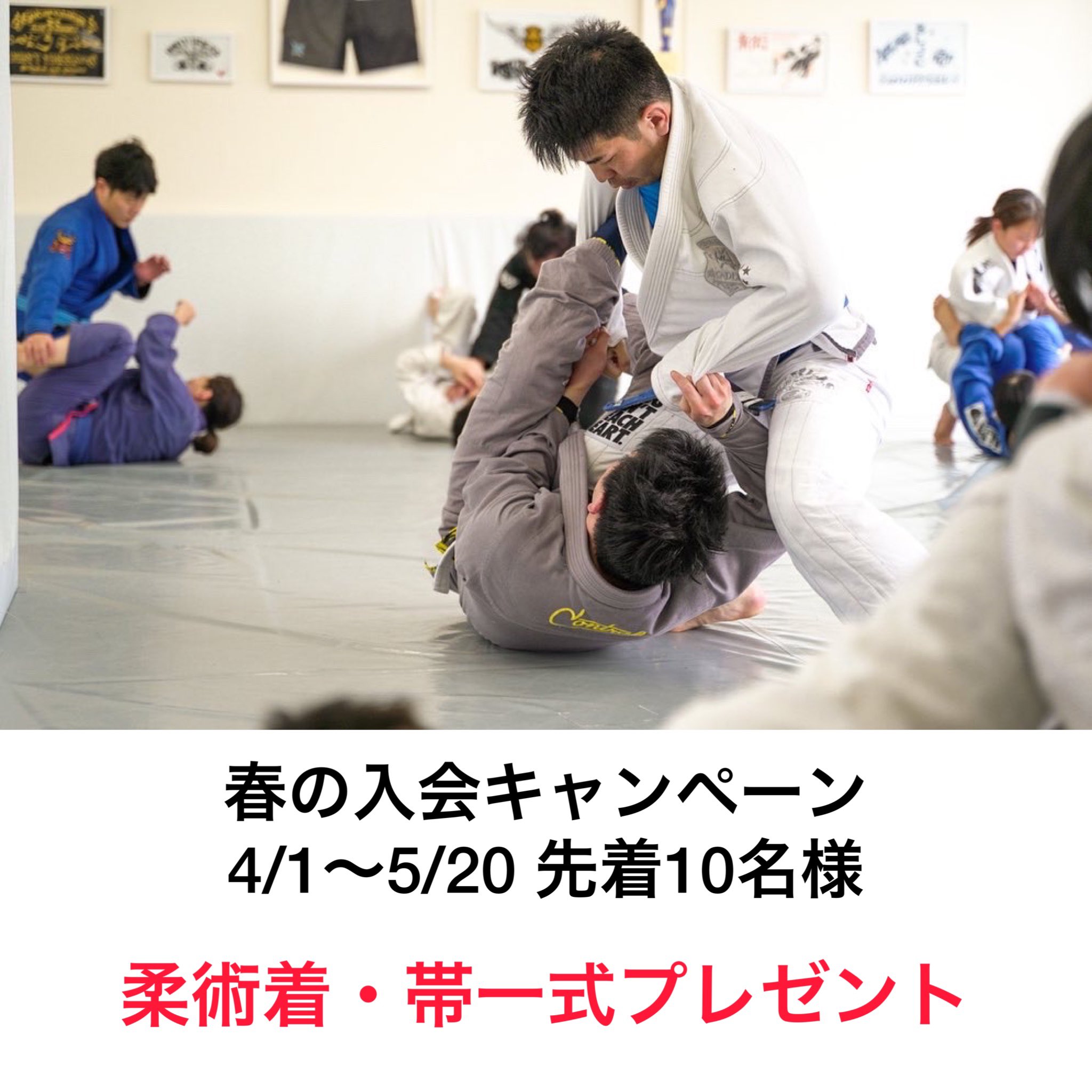 阿部宏司 4 1から道着一式プレゼントの入会キャンペーンを開始します ぜひこの機会に岩手でブラジリアン柔術を始めてください T Co Me5iwmtb2y 盛岡 岩手 ブラジリアン柔術 盛岡ジム 盛岡市中ノ橋通2 12 14 花巻ジム 花巻市南川原町