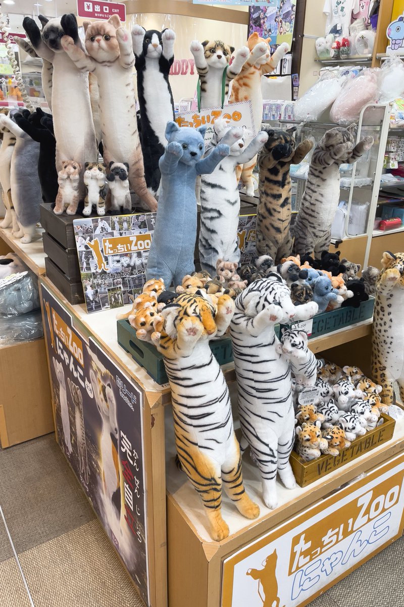 完全自律のぬいぐるみ！たっちぃZooにゃんこの第4弾が登場