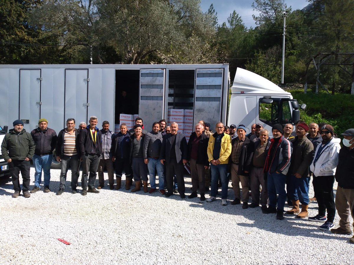 BeeingHopeNFT 🔺 tweet media