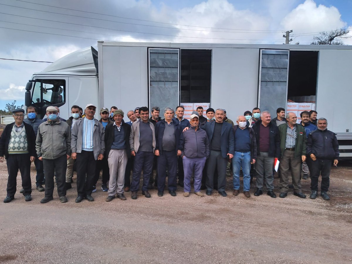 BeeingHopeNFT 🔺 tweet media