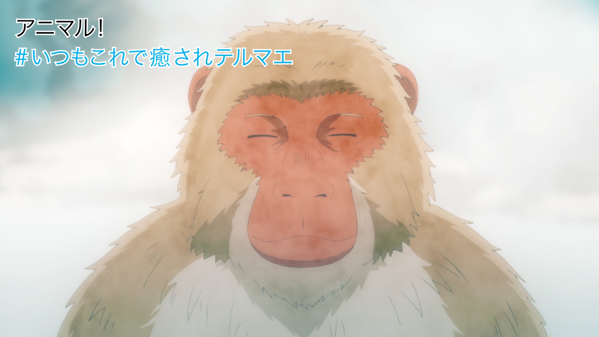 Netflix Japan Anime on X: Netflix Japan Anime on X:
