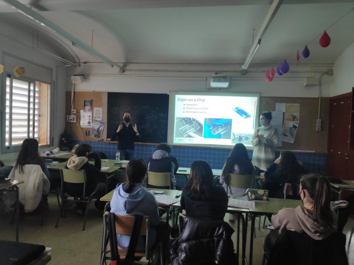 MIPMED lab tweet media