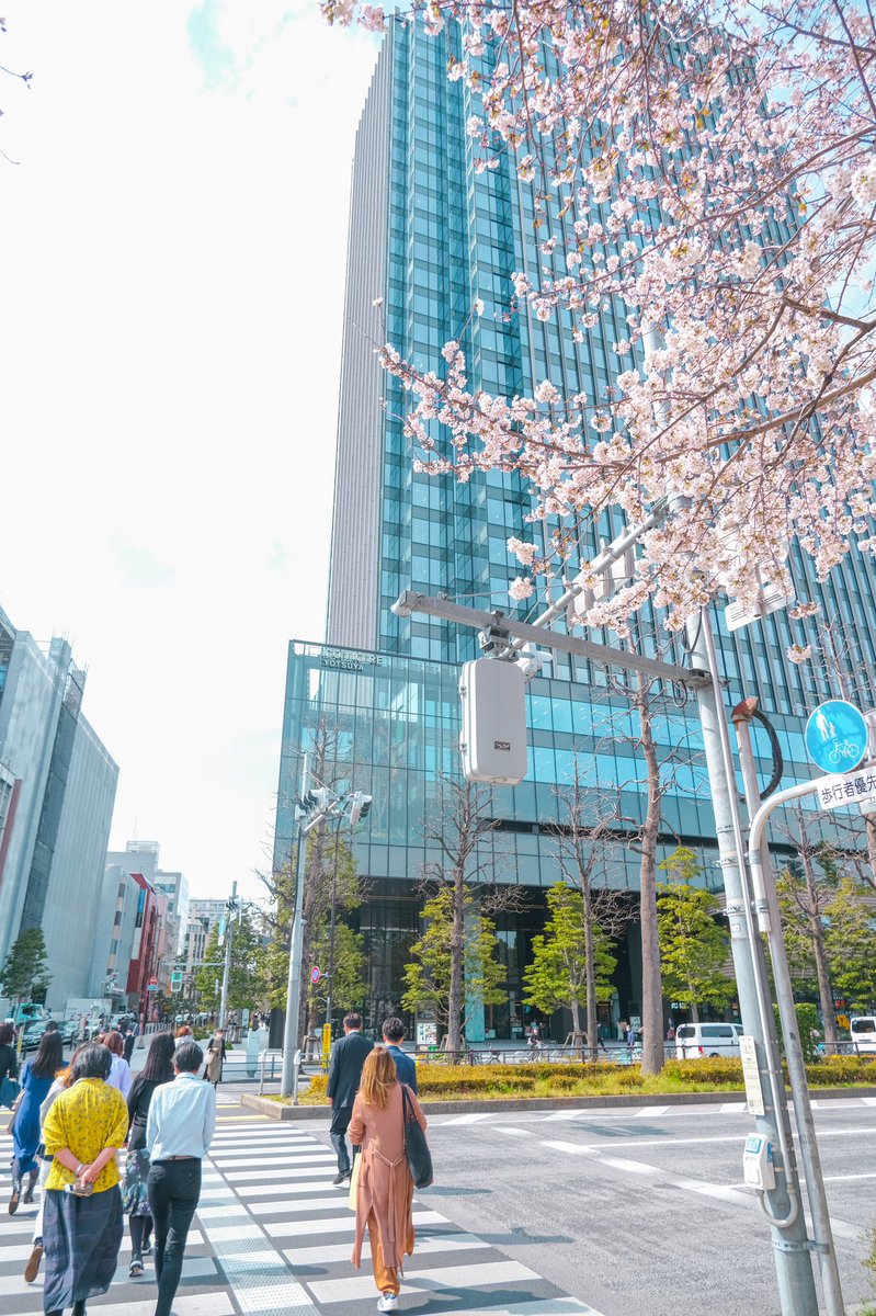 sa_camera828's tweet photo. 久しぶりのお出かけ
桜が咲いてて幸せな時間でした🌸

#fujifilm #fujifilm_xseries 
#xt3 #ファインダー越しの私の世界 https://t.co/cNLM56zX6Q