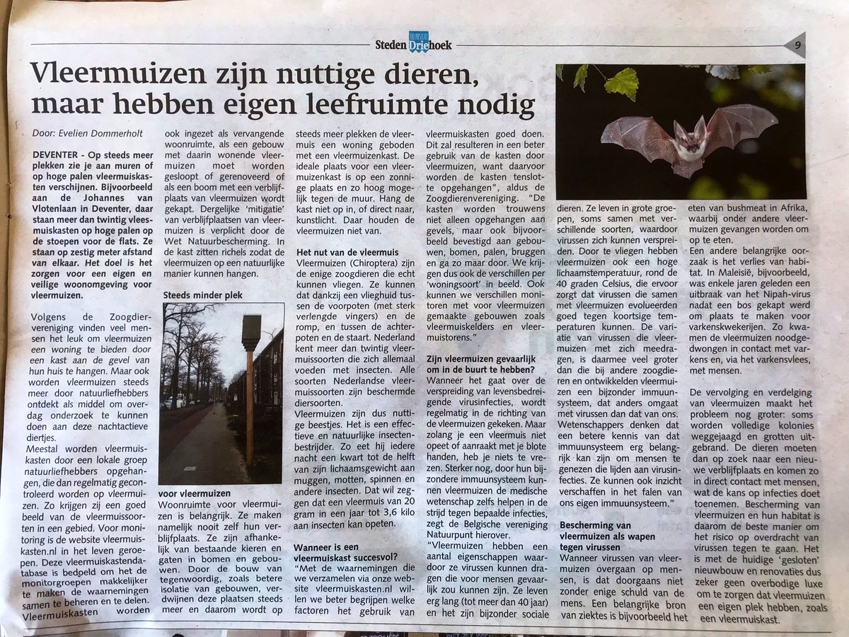 Maurice Backerra tweet media