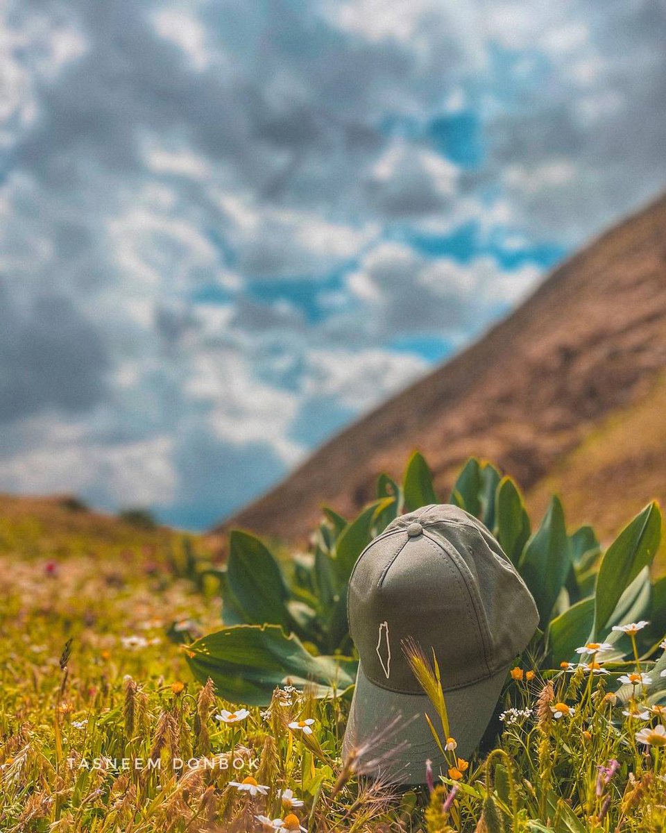 في ربُــوع هـذا الوطَــن قِصَّــة 🤍.