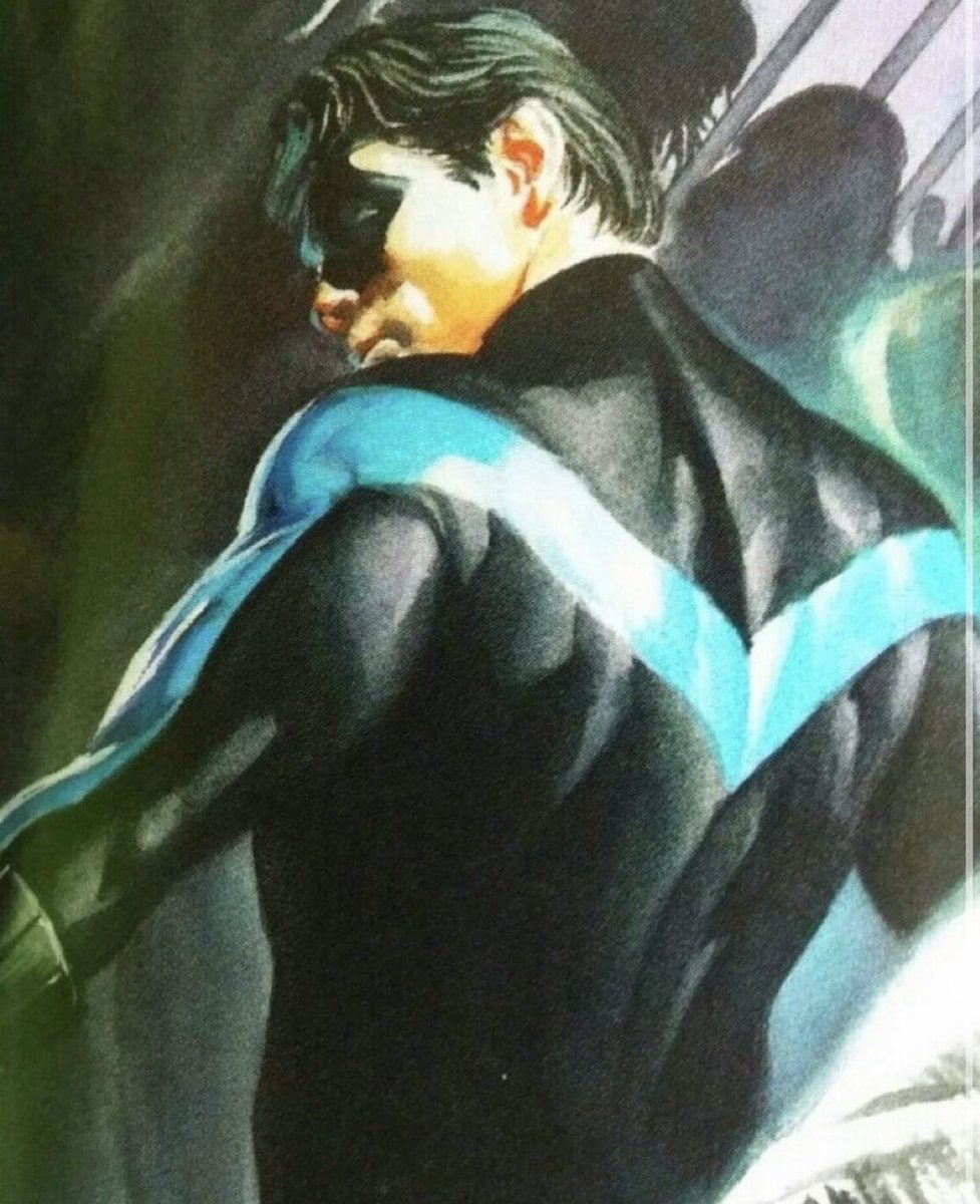 OOC ; my favorite Dc superhero’s 
                  Dove &amp; Nightwing