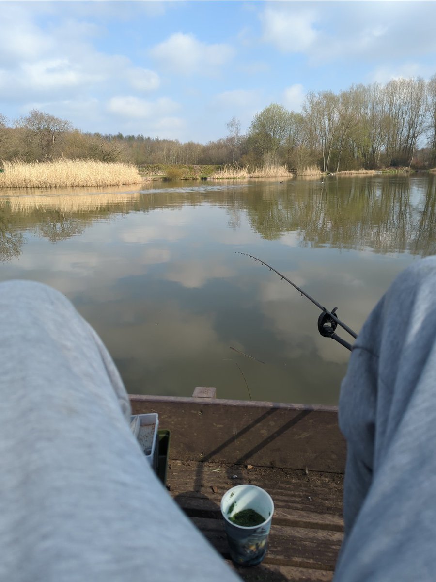 Titch_World's tweet photo. Nice chill day on the pond today #HereFishFishFishy https://t.co/gLybUT4CM7