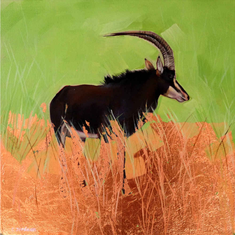 ColorFarmNFT's tweet photo. Fine art - Sable Antelope Oil painting by artist Caroline Jordaan now available as a #rarenft on @opensea #NFTdrop happening now!

https://t.co/DUTUMvlSIJ 

#artcollector #nftcollectors #NFTCommunity #CryptoNews #Bitcoin #art #nftartist @DropYourNFT @0xPolygon @Coinbase_NFT https://t.co/2caWow5kFa