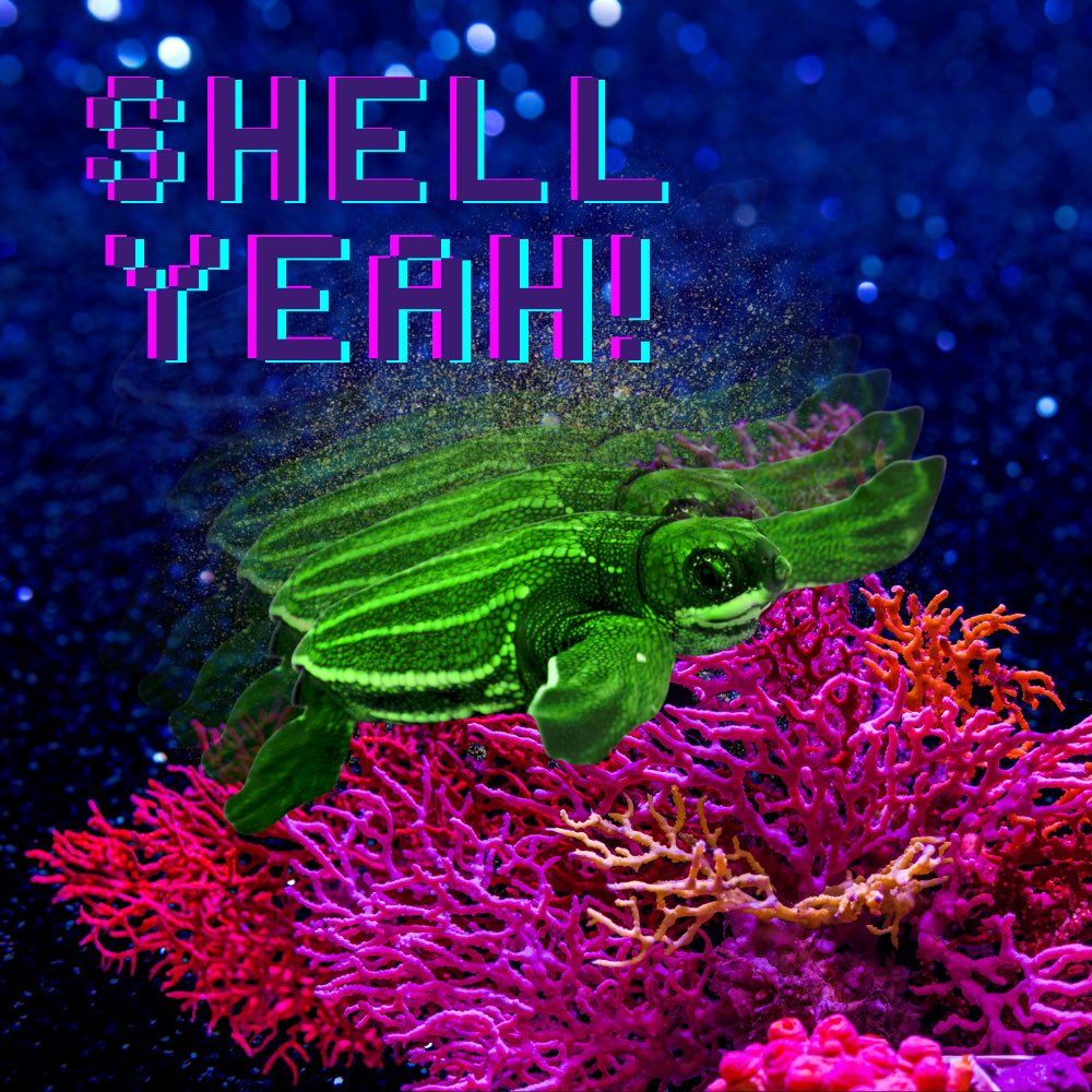 ksharpy's tweet image. #CanvaDesignChallenge