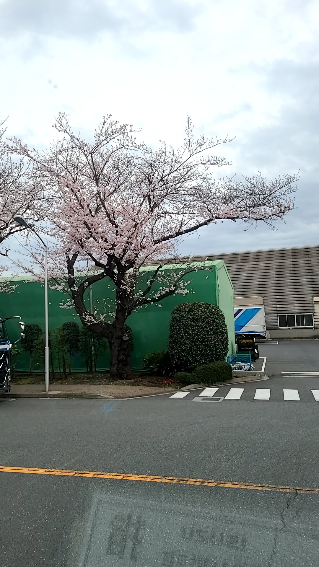 職業ドライバー Twitter Search Twitter