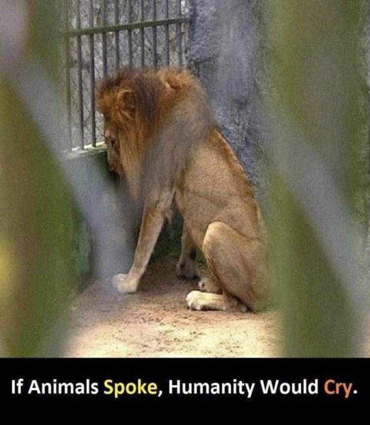 Soul destroying 😢 how dare we😢