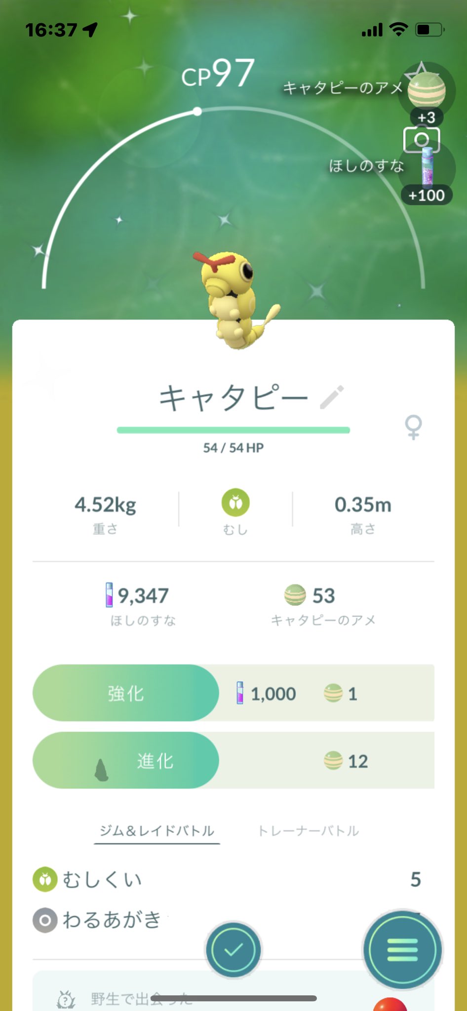 تويتر う ゆちゃん على تويتر キャタピー色違いきた トランセル赤くなった ポケモンgo ポケモンgoフレンド募集 Pokemongo T Co H3tqp0cmet