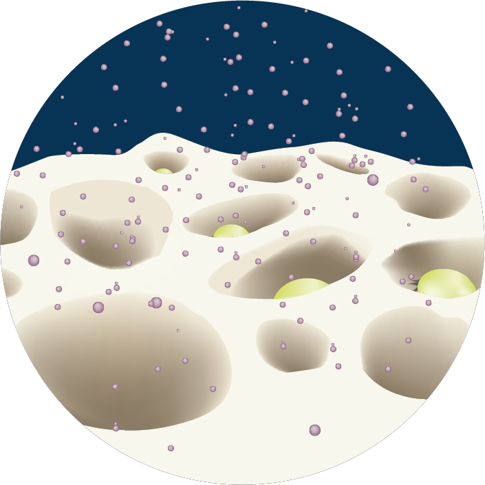 #boneregeneration #tissueregeneration #mbcptechnology 
#step5 #stemcells #adhesion 
The fifth step in bone regeneration is stem cells adhesion: Localised stem cells are attracted to the newly formed bone crystals.
#knowledgesharing #knowledgeexchange #keeplearning #followus