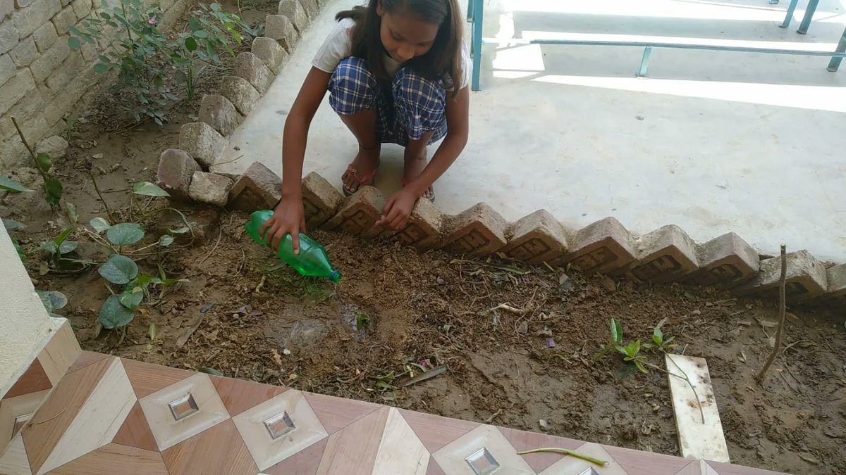 BansaLibrarySLC's tweet photo. This Sunday, we took upon Gardening in the Library where we planted new plants, cleaned the seed plot and watered all the plants. It was a very fun activity and now we are waiting for new greenery in the Library.

-Soni
Student Leader
#BansaCommunityLibrary https://t.co/F5Q0tsinpw