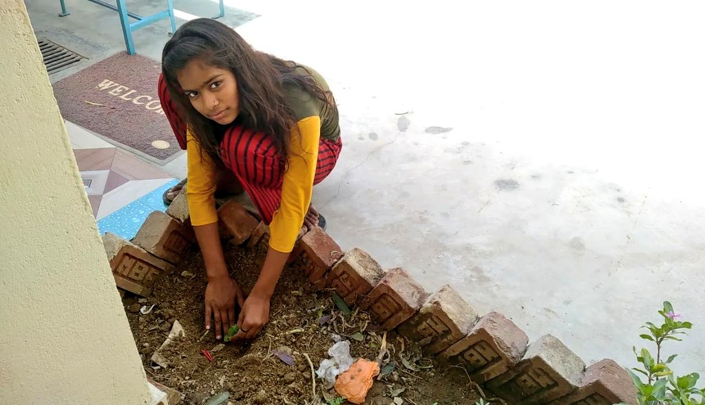 BansaLibrarySLC's tweet photo. This Sunday, we took upon Gardening in the Library where we planted new plants, cleaned the seed plot and watered all the plants. It was a very fun activity and now we are waiting for new greenery in the Library.

-Soni
Student Leader
#BansaCommunityLibrary https://t.co/F5Q0tsinpw