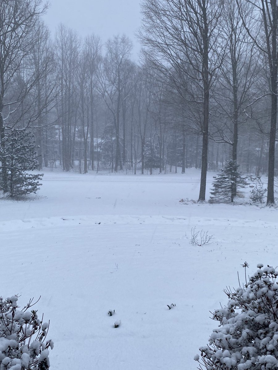 dnlabell's tweet photo. Snowing in Southbury! Close to 3 inches on the ground. School buses running very slowly. @bobmaxon #NBCCT https://t.co/Qo6grBIMsX