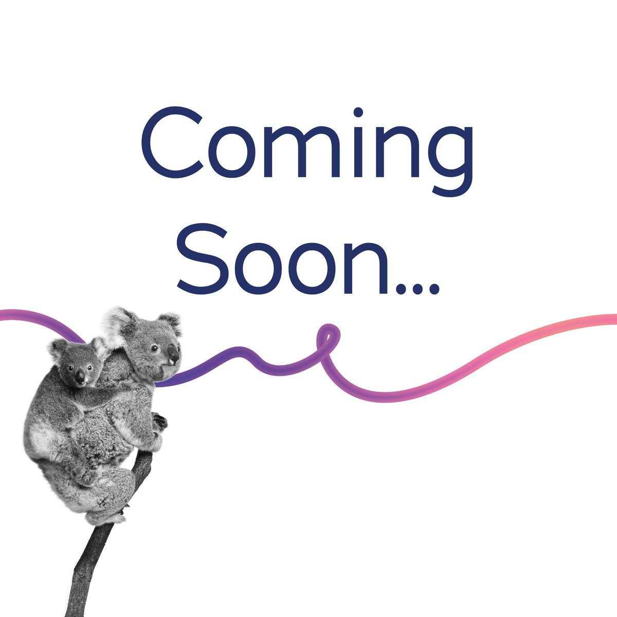 GVCvets's tweet photo. ... can we have a drumroll please?! Keep your eyes peeled for some exciting announcements coming soon from GVC! 🌎 #GVC #GlobalVeterinaryCareer https://t.co/EUUc6Qxu2k