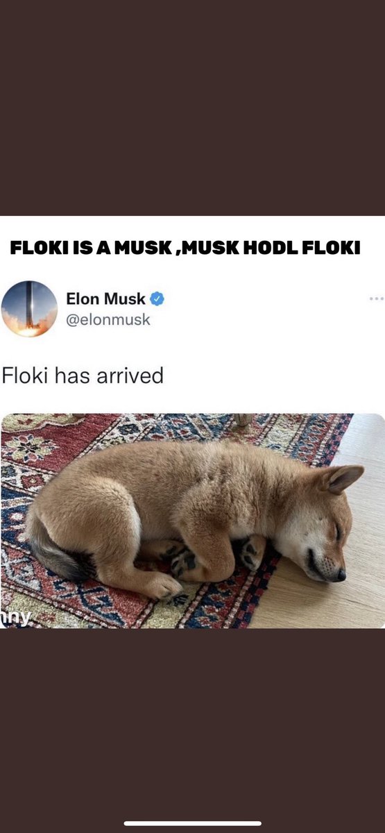 moneymancalls's tweet photo. Why @RealFlokiInu ? Its not only elon his dog but they have #valhalla and @alfaromeoorlen F1 partnership. 8 soccer clubs and the best community you will ever see. #FLOKI #altcoin #moon #ETH #cryptotrading #finance https://t.co/qdqFazxB8e