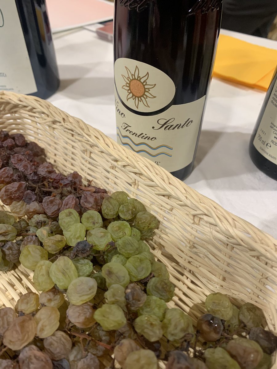 missaglia_sara's tweet photo. La Nosiola e il Vino Santo del Trentino. Qui con Marco Pedrotti e con la nosiola Gino Pedrotti 2004: sembra incredibile, una gioventù straordinaria, la piacevolezza dell’appassimento unita a rara freschezza.
Per saperne di più: https://t.co/mhpBnNbb8C.
.
#nosiola #vinosanto #WoW https://t.co/2sccllAPlJ