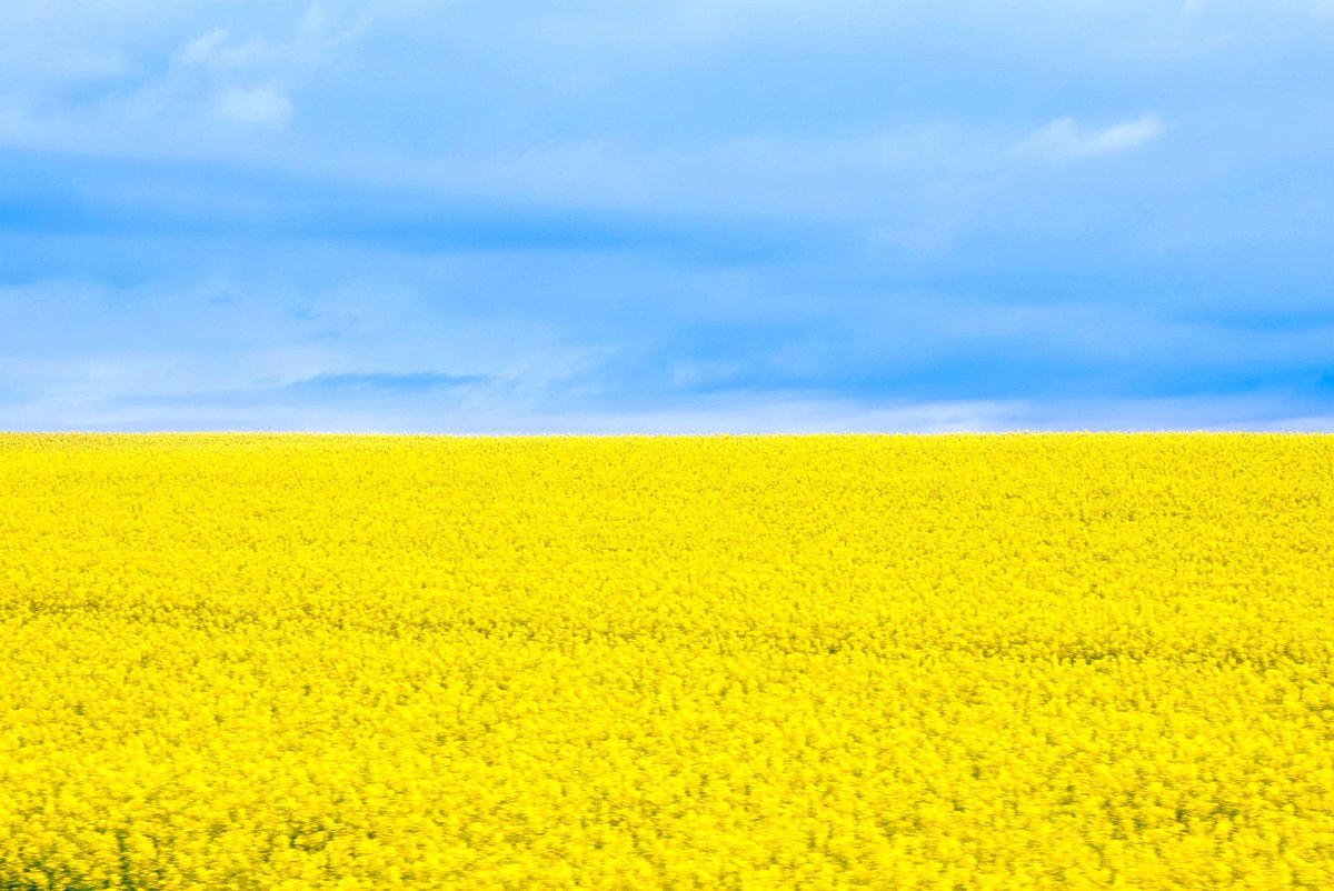 knight_amg's tweet image. #nowar 
#glorytoukraine 🇺🇦
#worldpeace ✨
#pleaseretweet