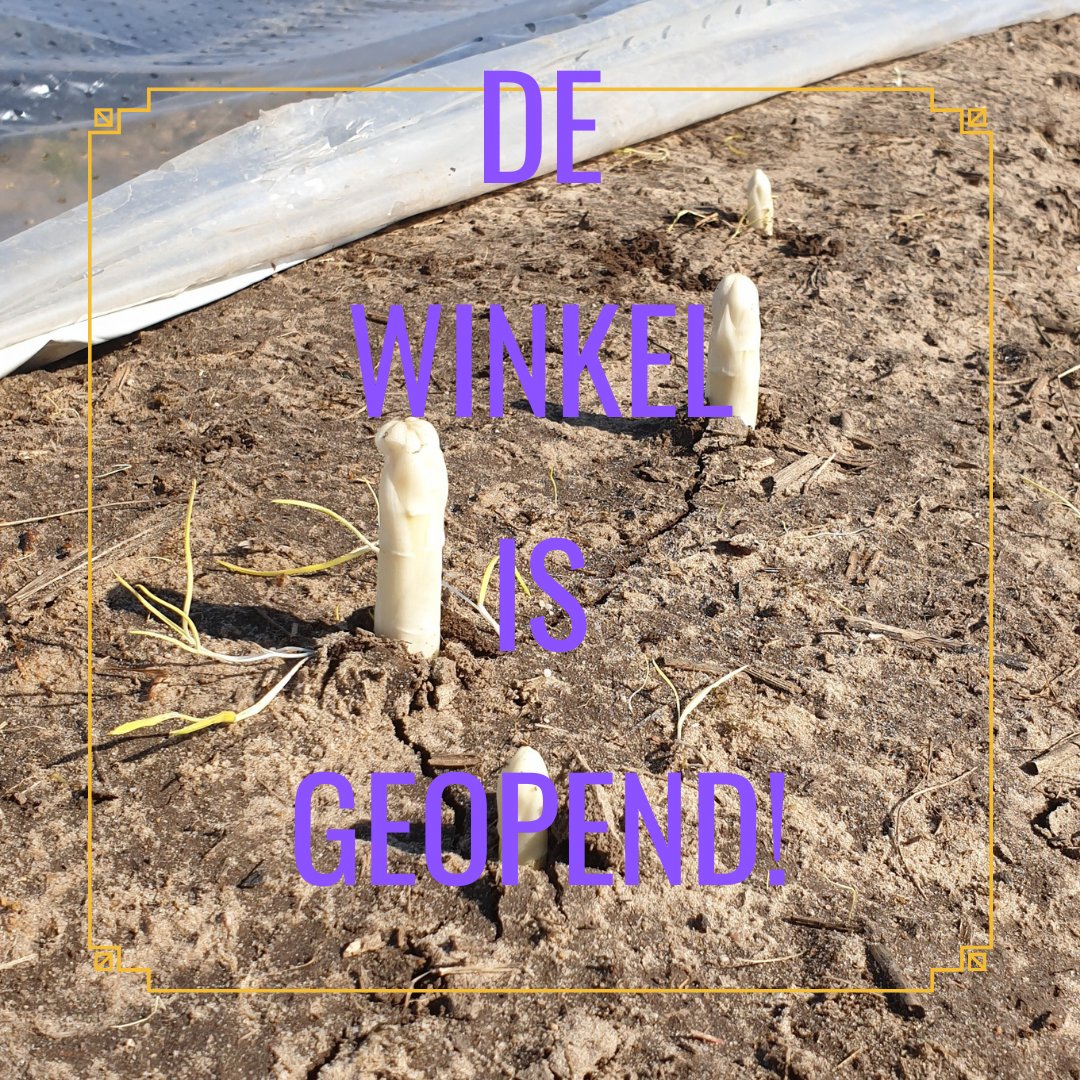 Jaaaaa...... ook de hoge temperaturen en de zon hebben hier hun werk gedaan. Vanaf vandaag is de winkel geopend voor verse asperges en natuurlijk ook de andere lekkernijen om het feestmaal compleet te maken #tuinderijtuureind #asperges #kersen #mooiberghem #Oss #Schaijk