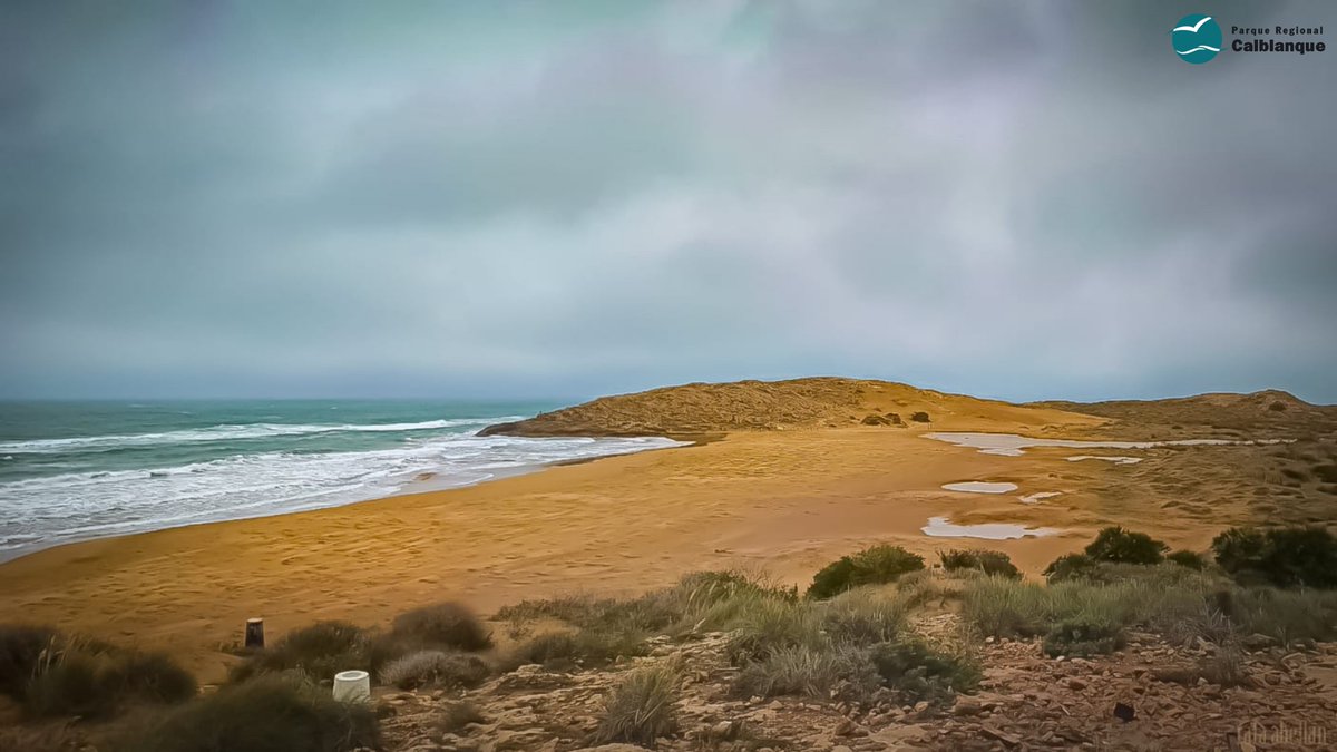 CalblanquePR's tweet photo. 🌧️ ¡Tras las lluvias de estas semanas, la playa de Calblanque luce así! 😍 Con tres charcas en medio de la playa 💙
🤔 ¿Lo habías visto alguna vez? 😃
#PlayaCalblanque #CalblanquePR https://t.co/h5Bqj80D9h