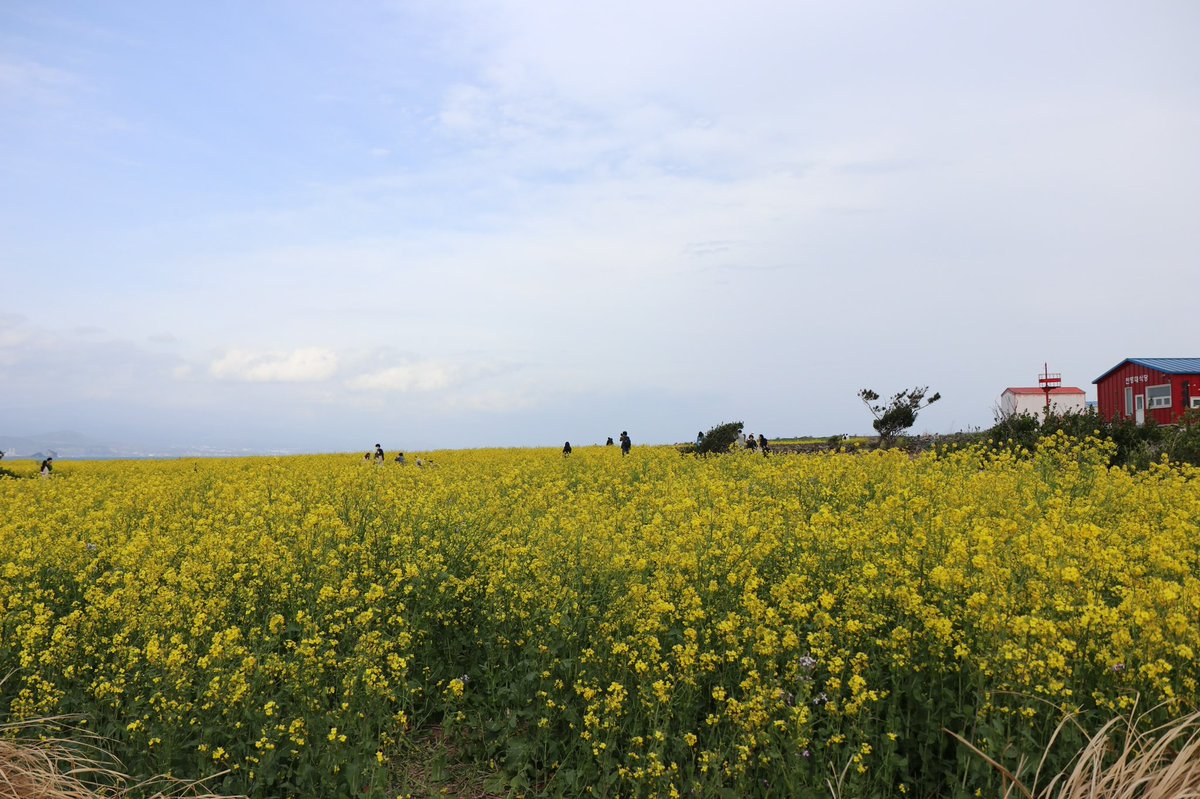 문왕수 (@shiri_300) on Twitter photo 