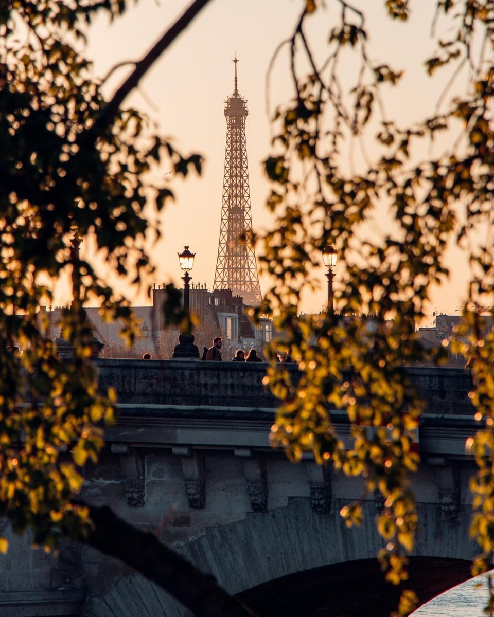 hipparisblog's tweet photo. Loving the light and the spring feeling that has sprung in Paris.

Photo: @erika.kostialova

#parislove #springisintheair #eiffeltower #springflowers #hipparis #parislight #printemps https://t.co/t0WX5JavT5