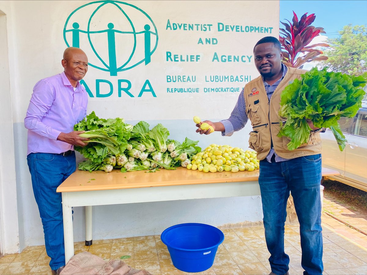ADRA_DRC's tweet photo. #Lubumbashi: ADRA a mis sur pieds des activités agricoles sur certaines de ses concessions Agro-Pastorales. 200 kilos des aubergines &amp; les choux de chine a été faite pour la 1ère récolte dans les concessions de Kikwanda &amp; Bulaya. https://t.co/kvn6KL0PmF https://t.co/KHd3qdJuw5