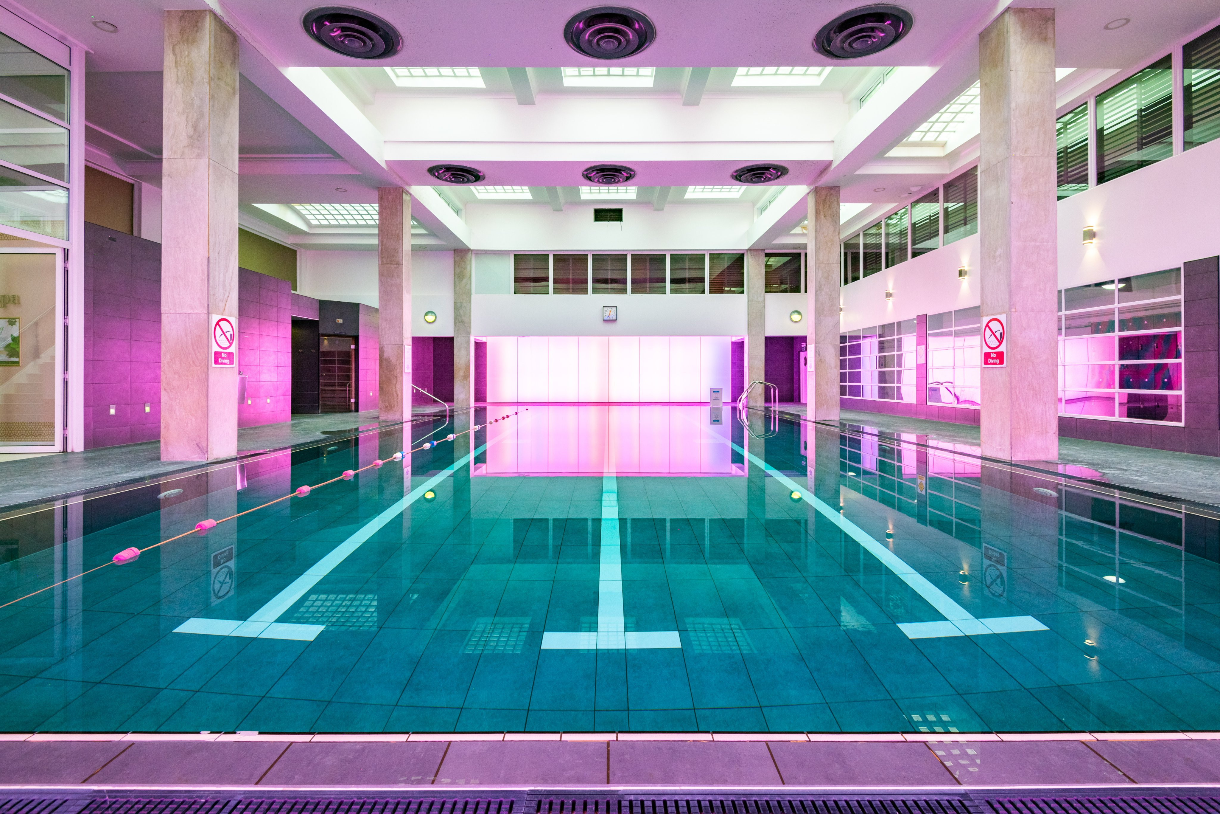 Dolphin cheap square gym