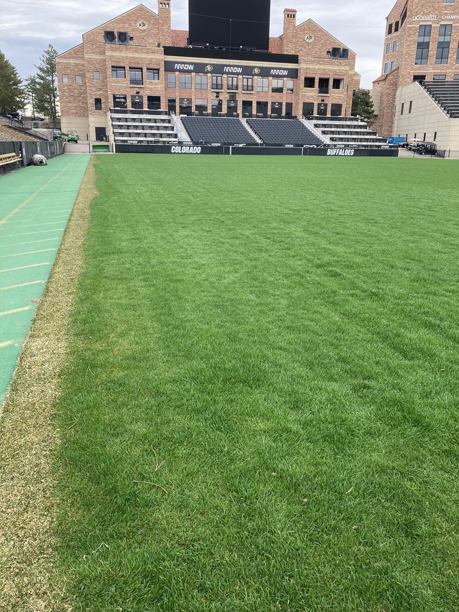 CUBuffsTurf's tweet photo. Are @covermasterinc tarps worth the time and effort. I’ll just leave this here.  Pulled tarps this morning after 24 consecutive days. Mow on tap for this afternoon. #GoBuffs #Team1stClass #DominateDetails #AttitideAndEffort #5Ps https://t.co/u2Jcat0NST