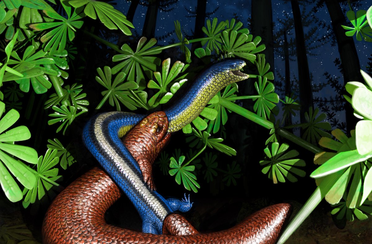 Dr. Arjan Mann tweet media