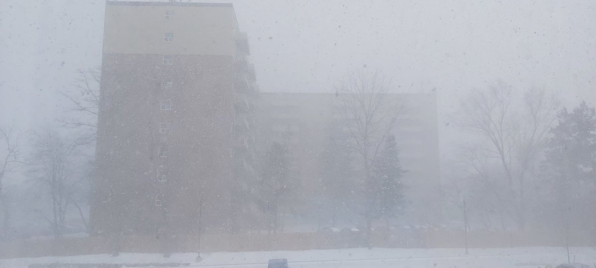 QuillElska's tweet photo. What the hellllll is thissss?! π₯Ά
#DoneWithCold https://t.co/V8egdyvNQ4
