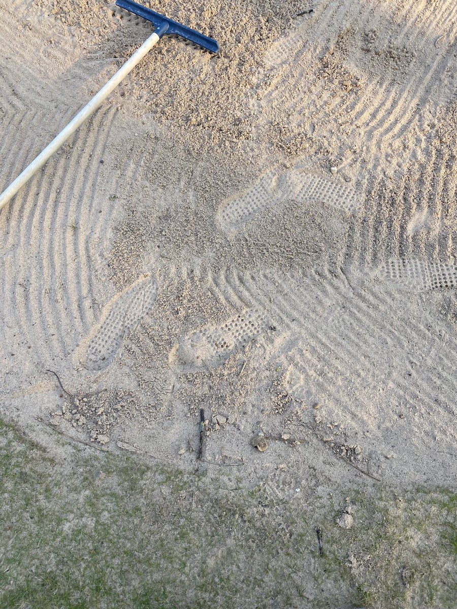 ⁦<a href="/ClubWheatley/">Wheatley Greenkeepers</a>⁩ your pal is back 7th 🤷🏼‍♂️