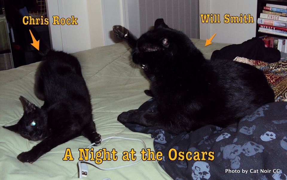CatNoirCC's tweet photo. #Oscars #Oscars2022 #WillAndChris https://t.co/lzYLiae9nj