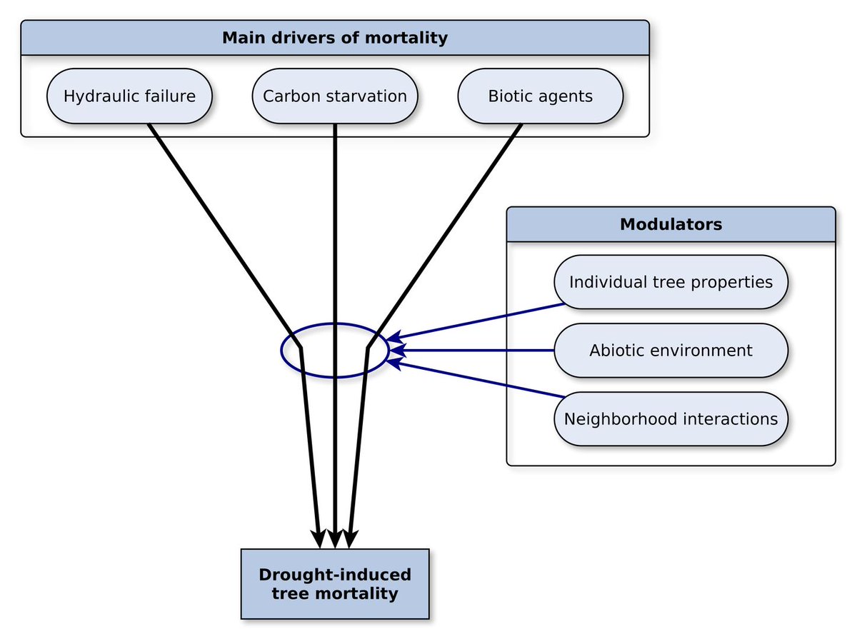 GlobalChangeBio's tweet photo. || NEW RESEARCH ||
Mutually inclusive mechanisms of drought‐induced tree mortality

📰 https://t.co/XqsCQEep01 https://t.co/wAjt4B1Aim