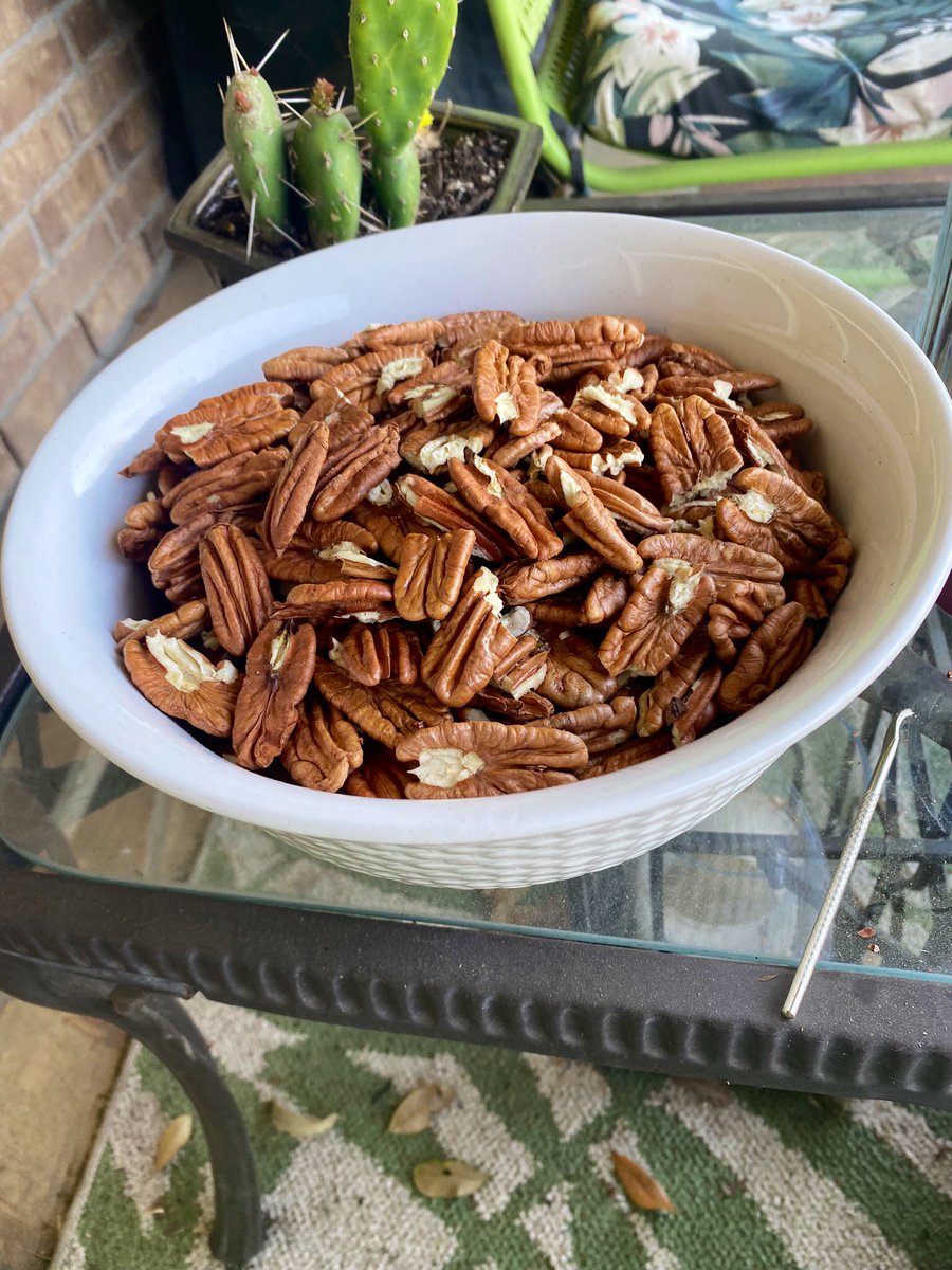 Juliet_Kristine's tweet photo. Morning miles to start the work week. It’s warming up a bit. We worked on my MILs old house this weekend. She has a dozen pecan trees and pecans were everywhere in her yard. My hand hurts from shelling them but total worth it. They are extra large and delicious ! #texaspecans https://t.co/1afoOn7XaS
